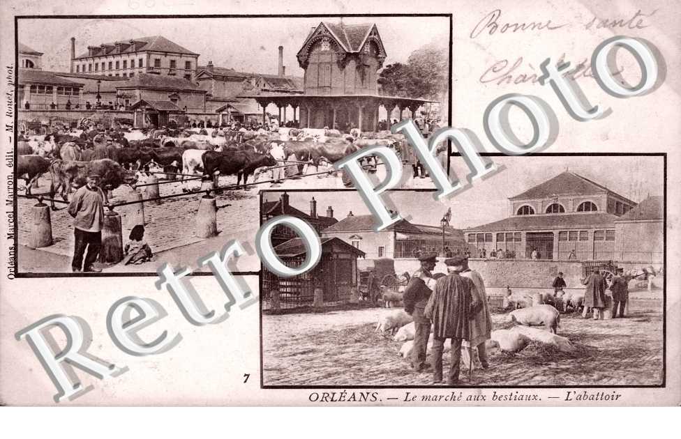 Le Marche aux Bestiaux - l'Abattoir