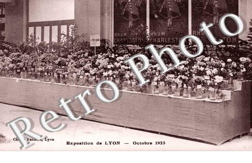 Exposition de Lyon - Octobre 1923 - Roses Pernet Ducher