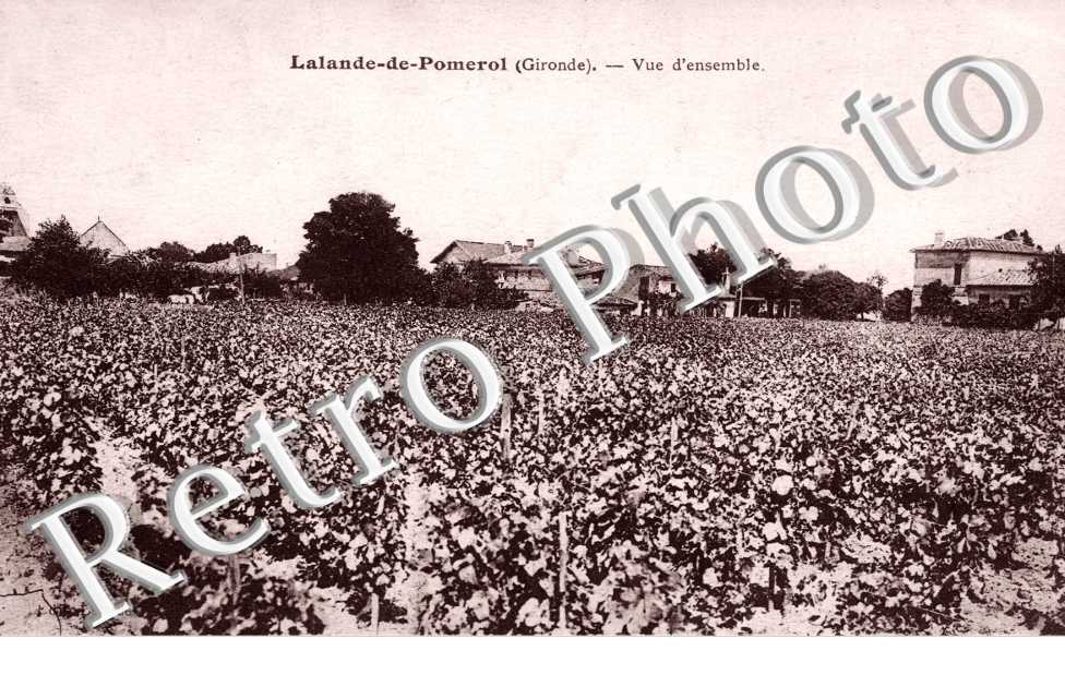 Vue generale