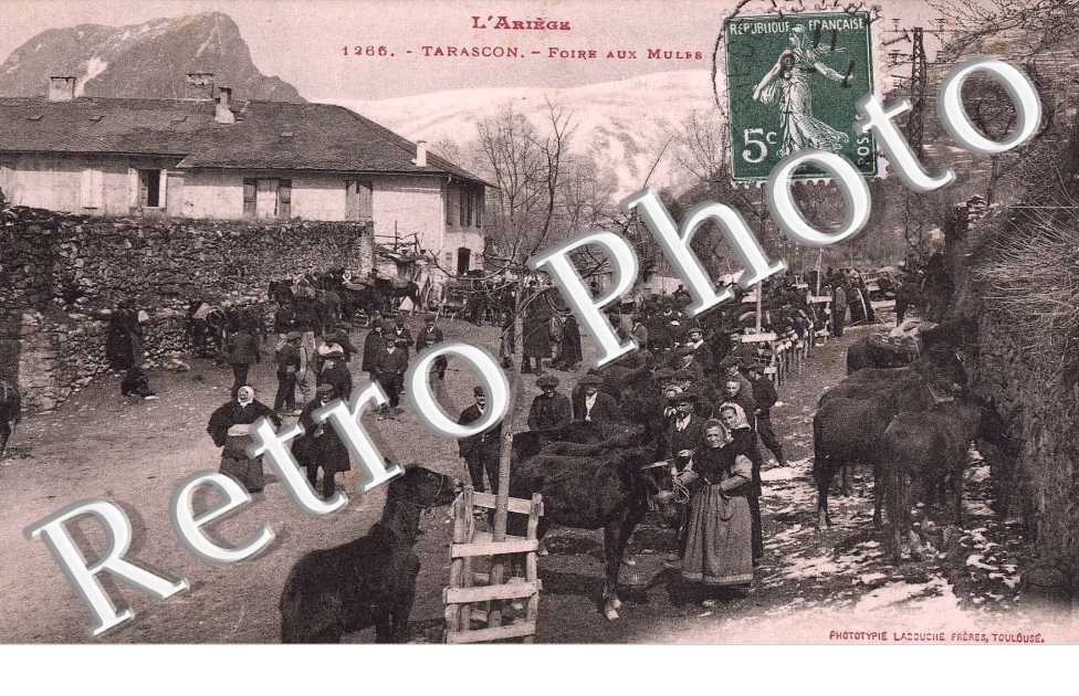 foire aux mules