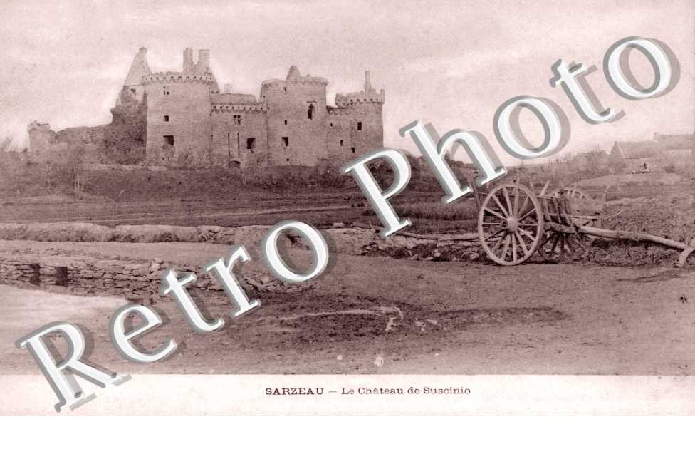le chateau de Suscinio