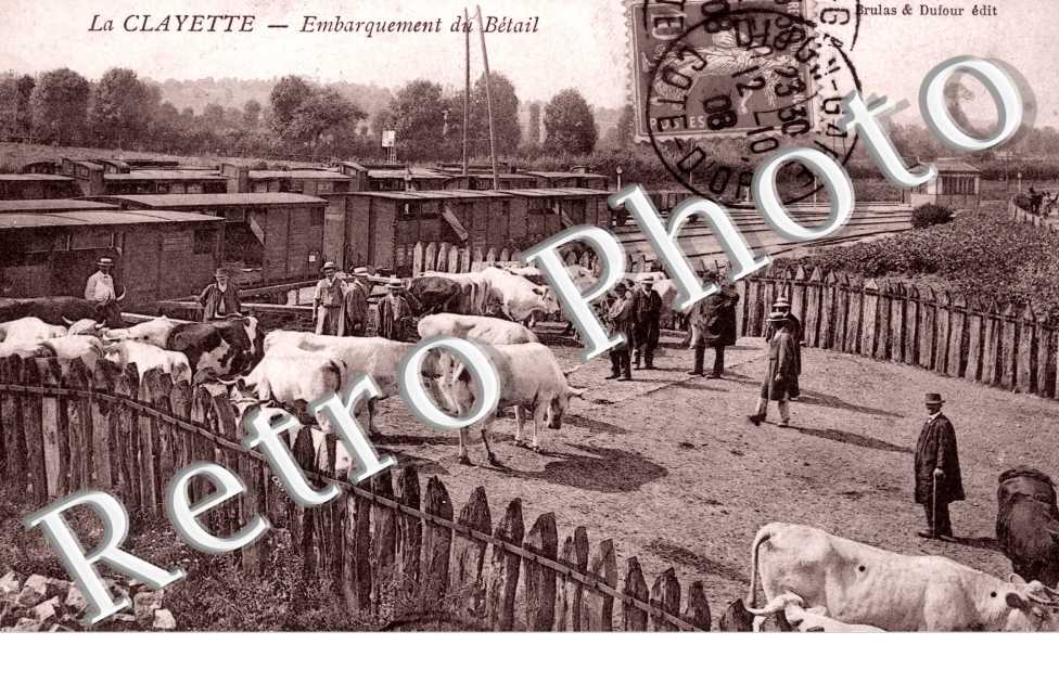 Embarquement du Betail
