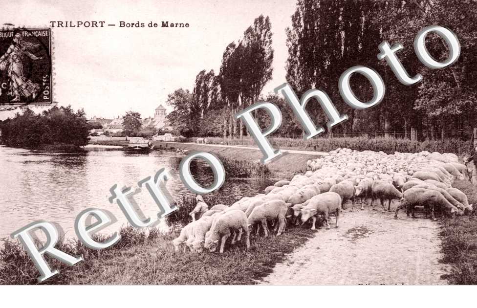 Bords de la Marne
