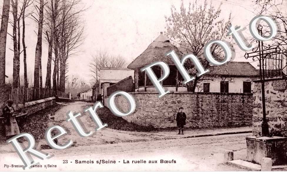 la ruelle aux boeufs