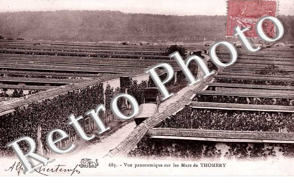 Vue panoramique sur  les murs de Thomery