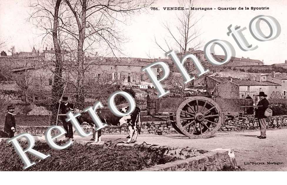 QUARTIER DE LA SYCOTRIE 