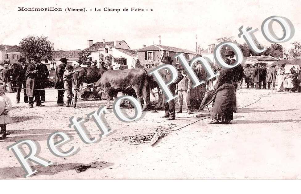 Le Champ de Foire