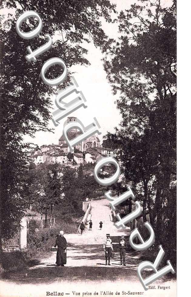 VUE PRISE DE L'ALLEE DE ST SAUVEUR