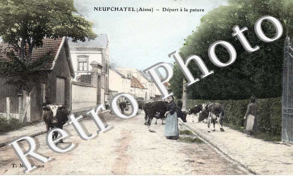 depart a la pature 