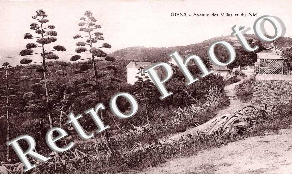 Avenue des Villas et du Niel