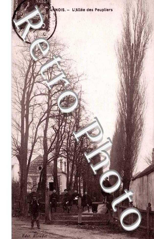 L'Allee des Peupliers