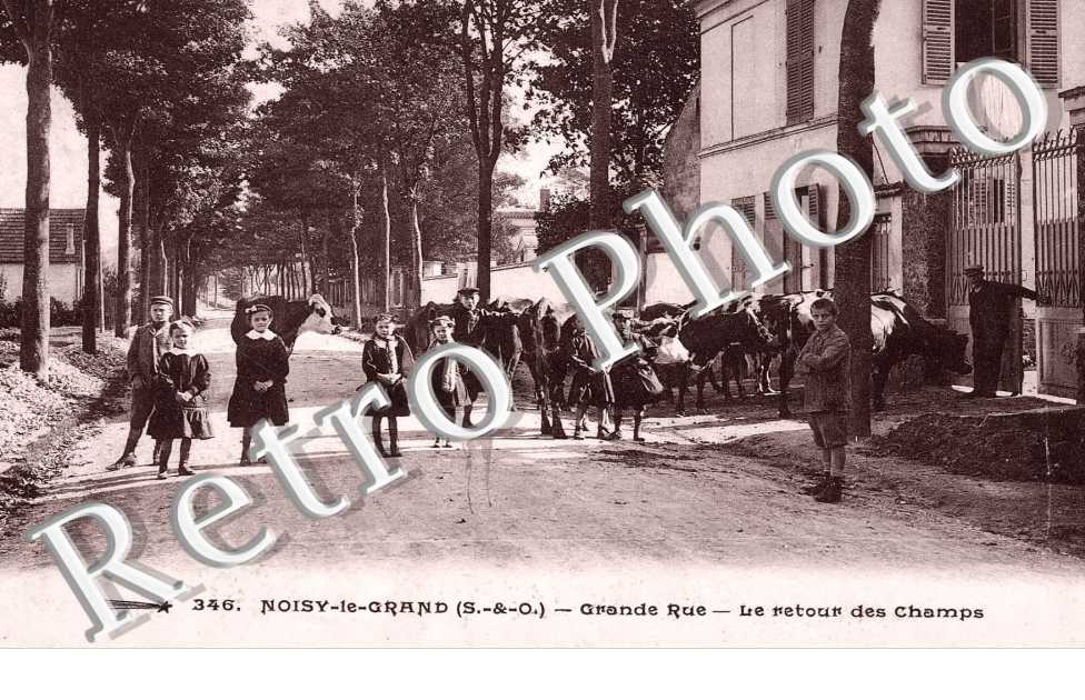 grande rue  le retour des champs