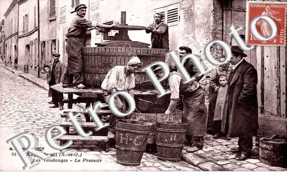 les vendanges. le pressoir