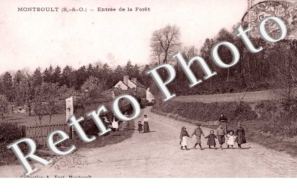 Entree de la foret