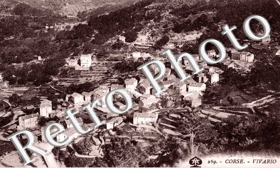 Vivario