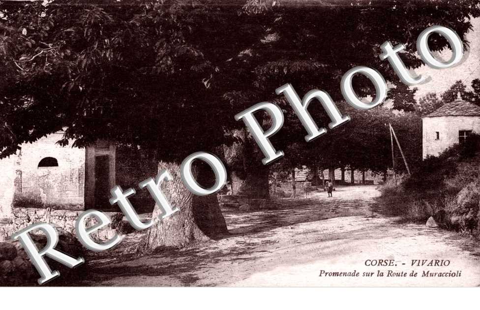promenade sur la route de Muraccioli