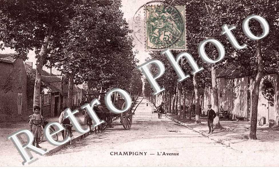 l'avenue