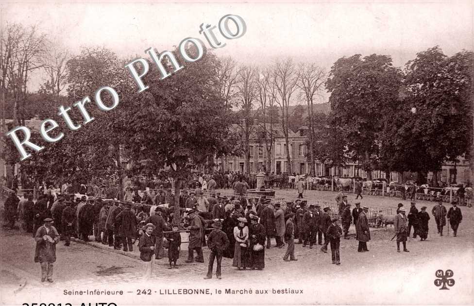 Marche aux bestiaux