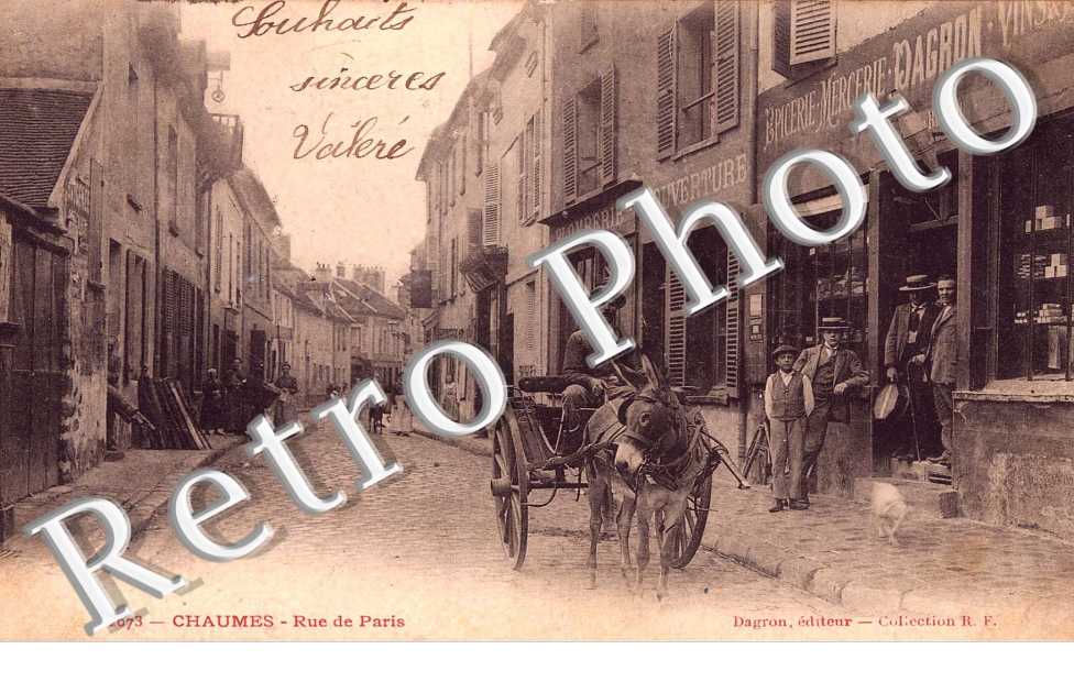 Rue de Paris - attelage d'ane