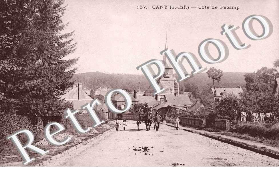 Cote de Fecamp