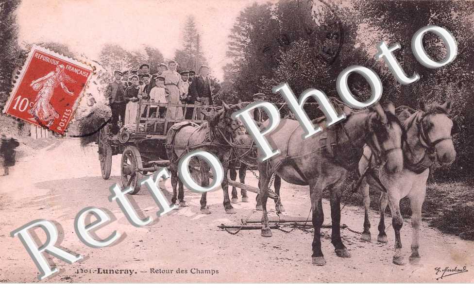 Retour des champs - attelage de chevaux