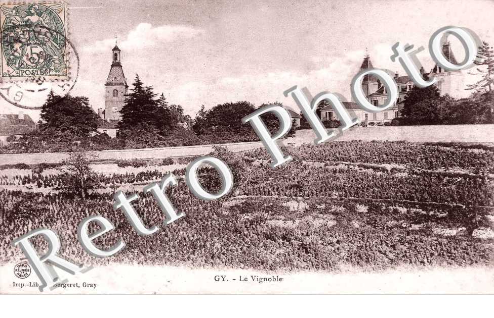 Vignoble