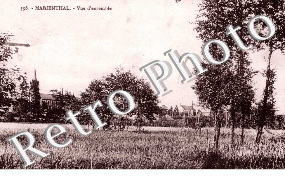 Vue d'Ensemble
