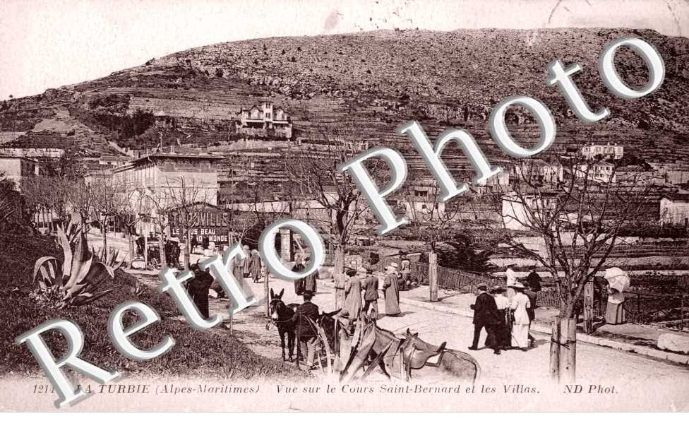 vue sur le cours St Bernard et les Villas