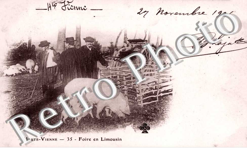 Foire