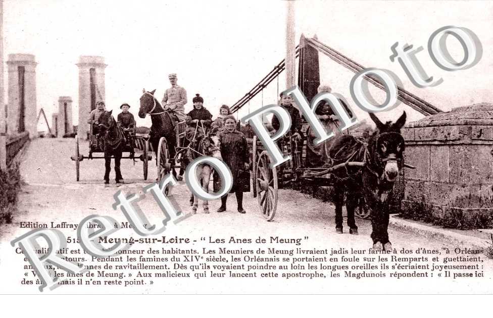 les "anes de meung"