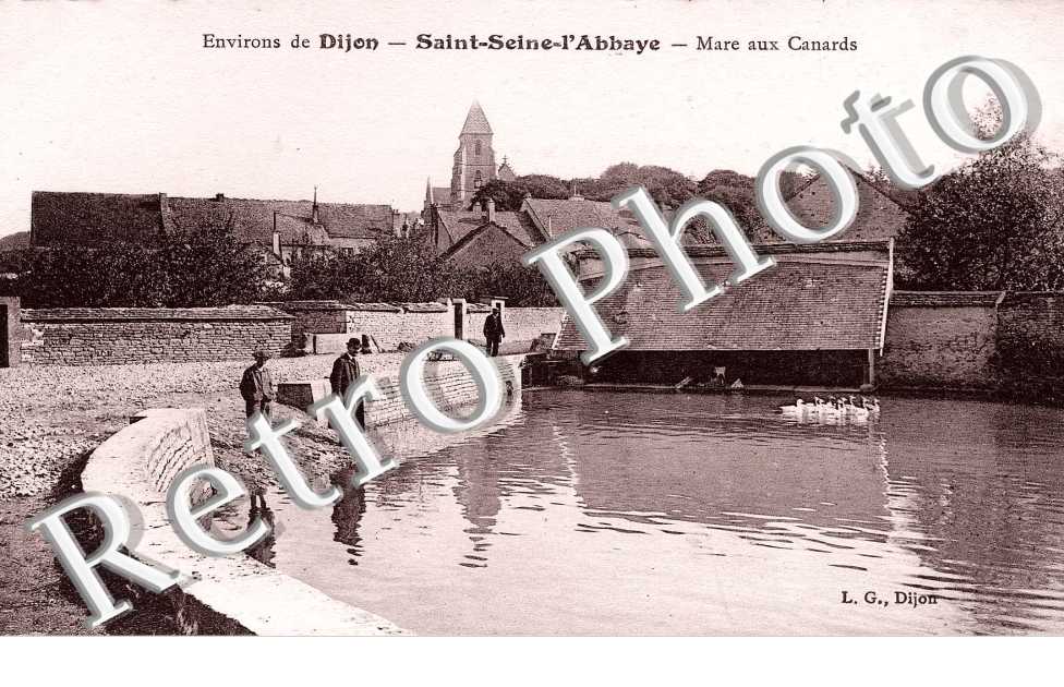 Mare aux Canards