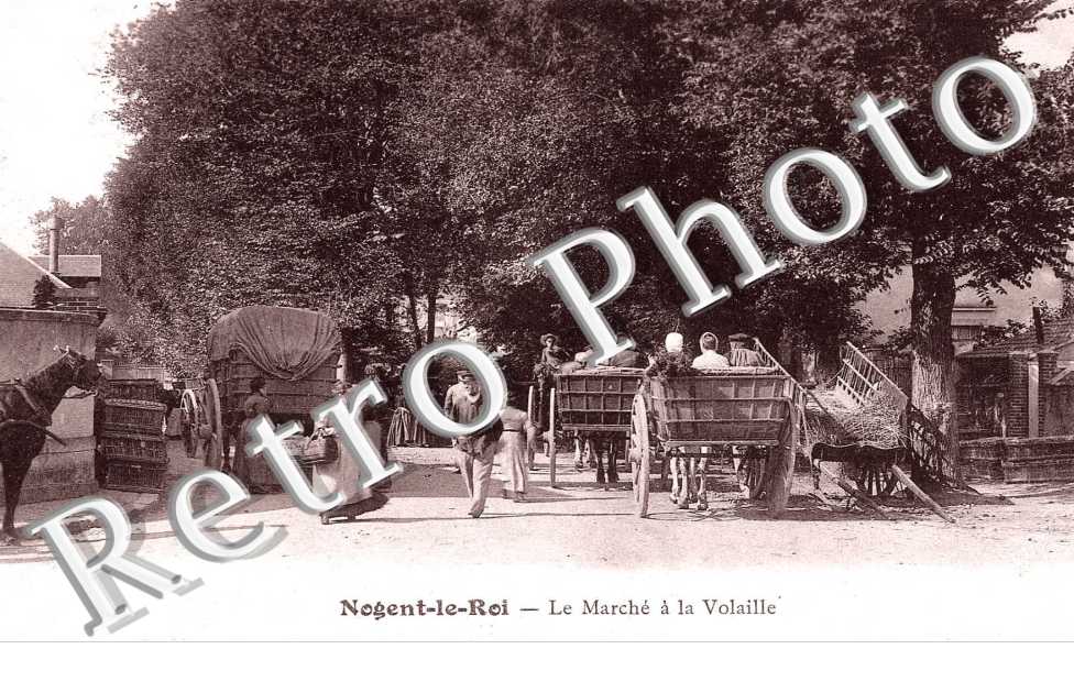 le marche a la volaille