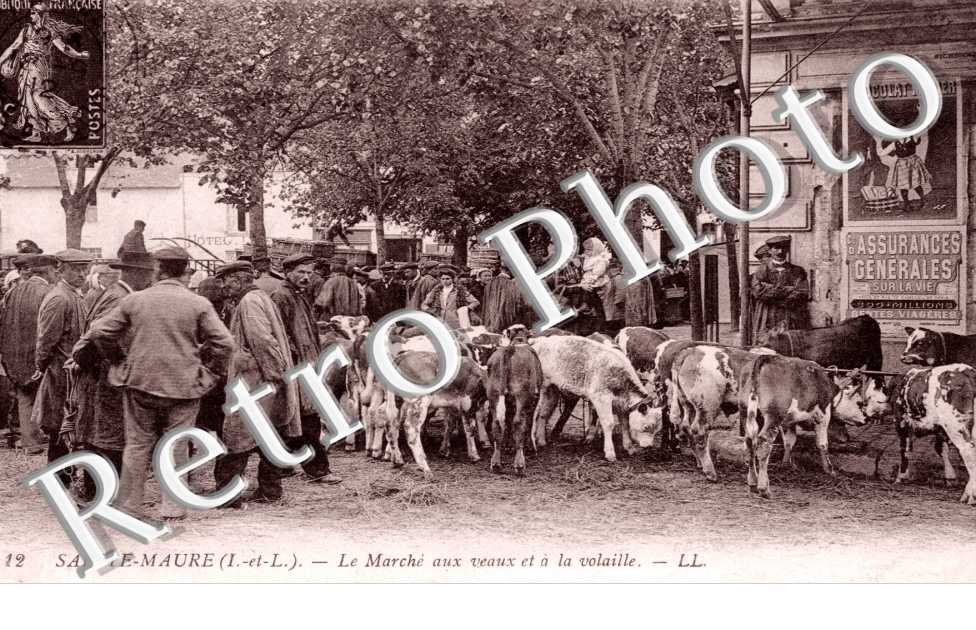 le marche aux veaux et a la volaille