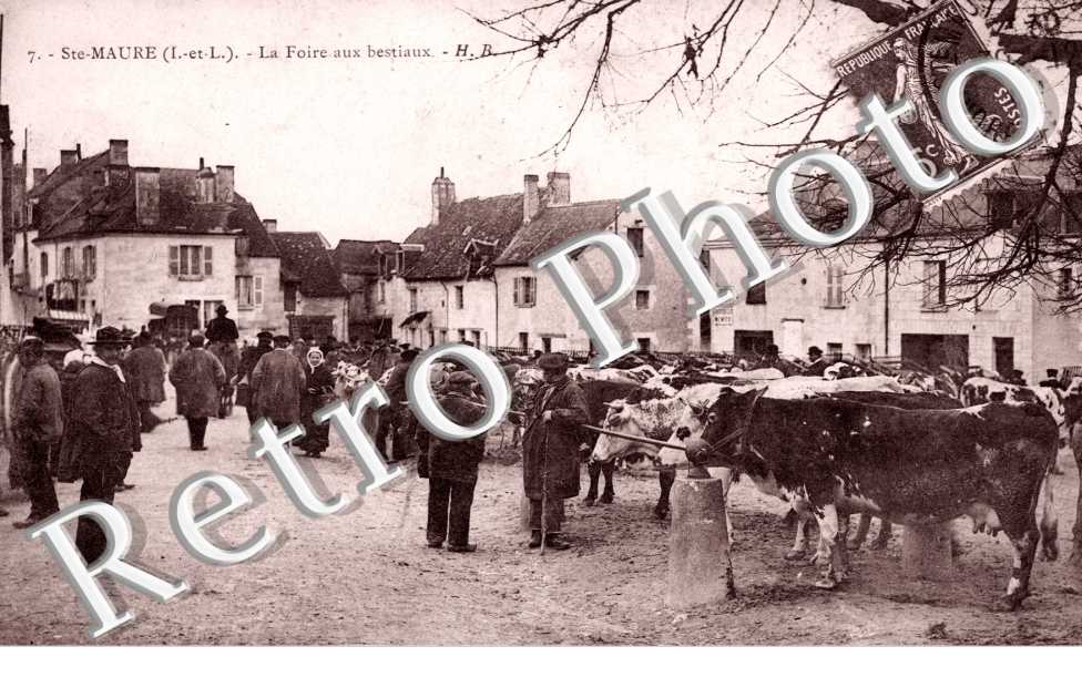 la foire aux bestiaux
