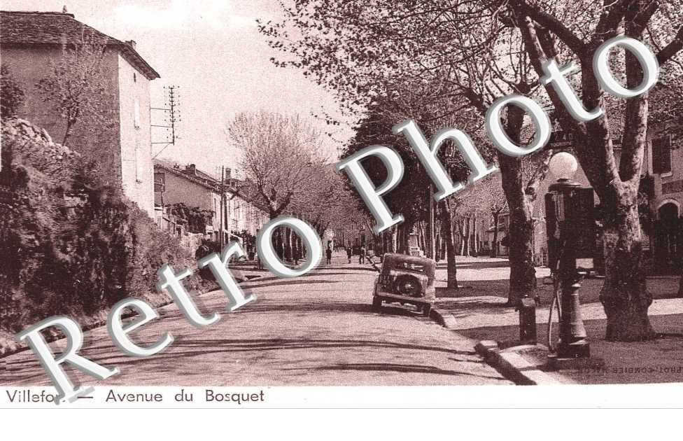 Avenue du bosquet