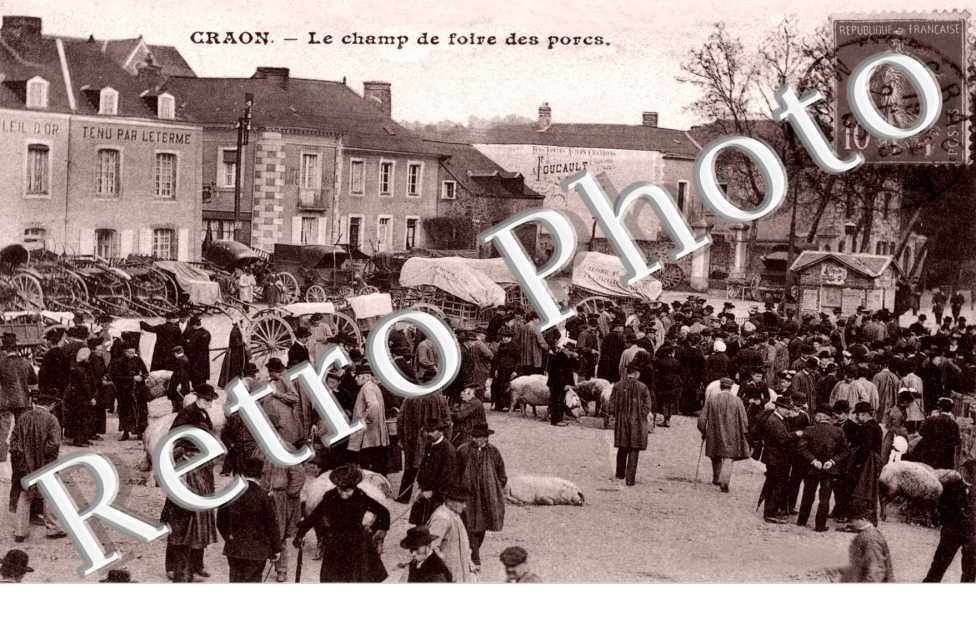 le champs de foire des porcs