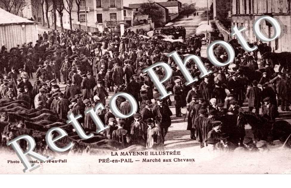marche aux chevaux