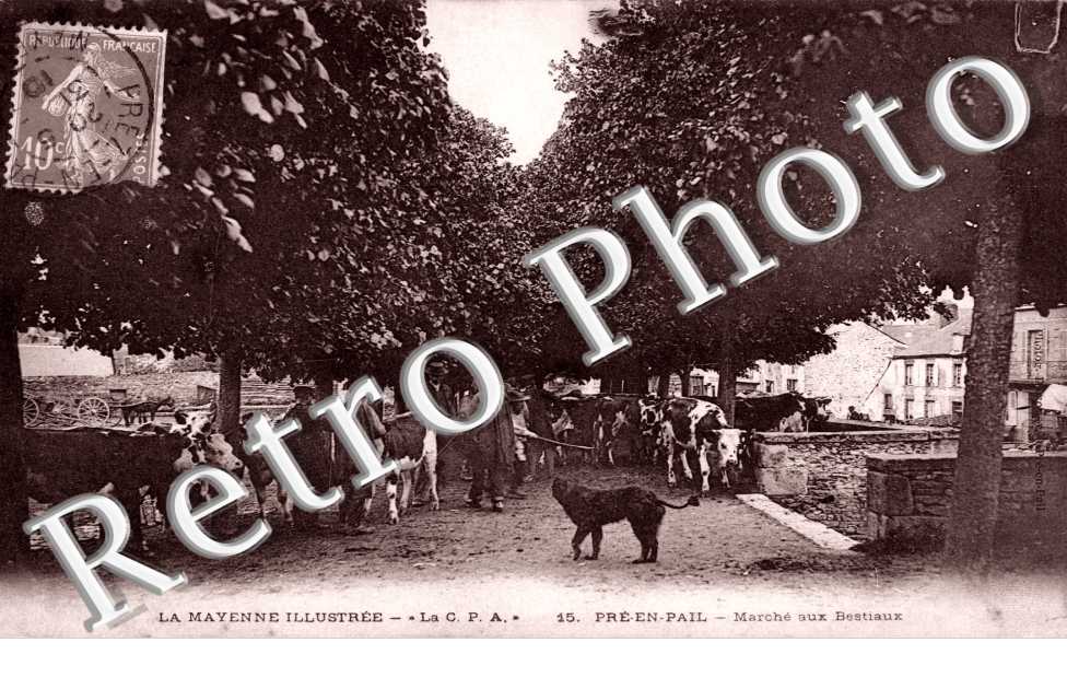 marche aux bestiaux