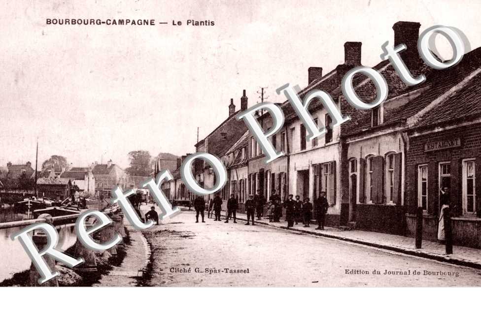 le plantis