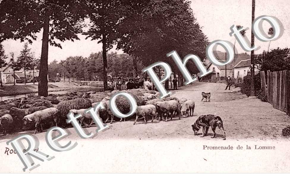 Promenade de la Lomme