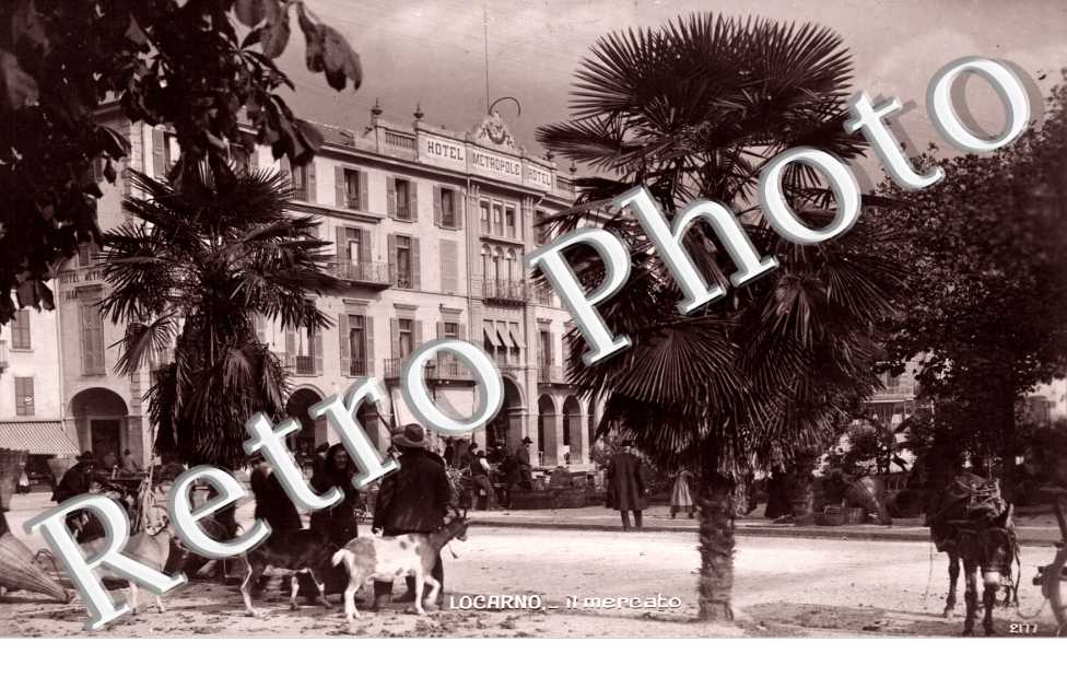 Il Mercato, le marche