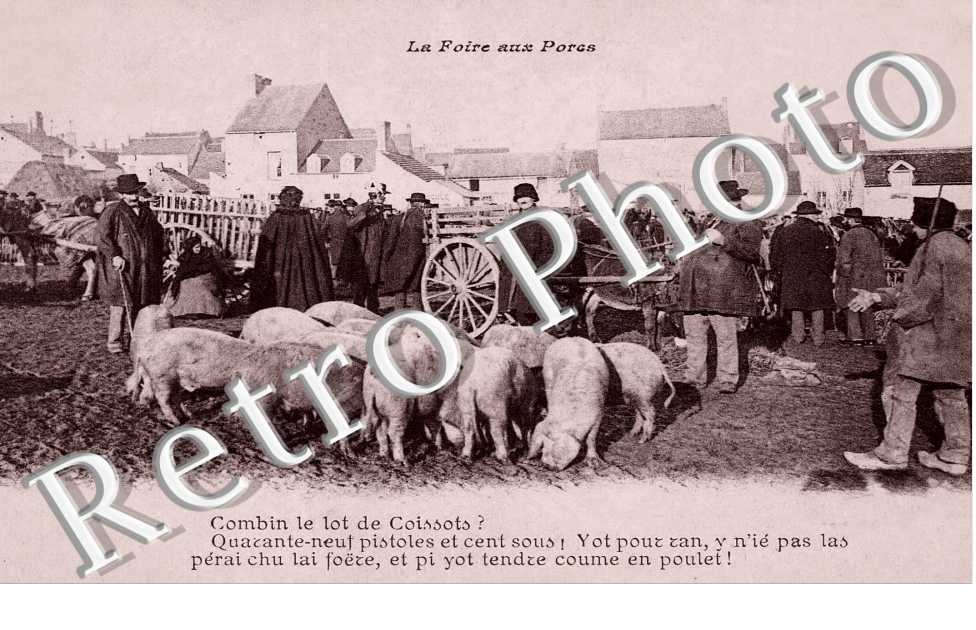 la foire aux porcs
