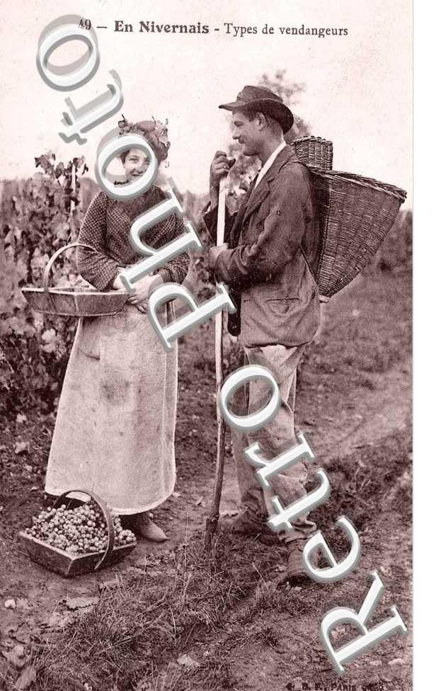Type de Vendangeurs