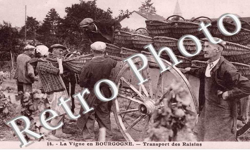 (sans légende)