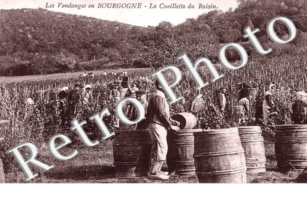 (sans légende)