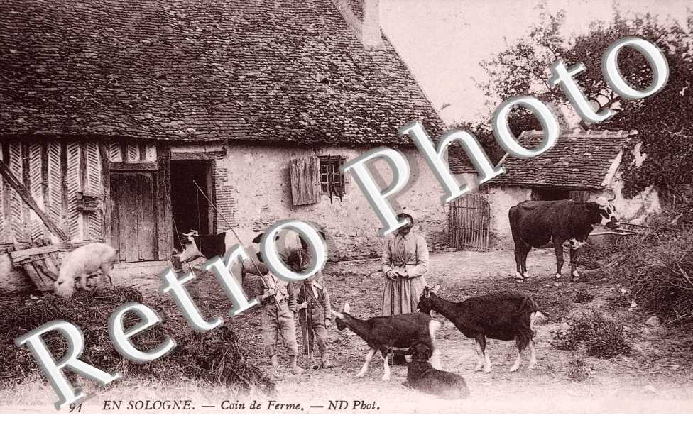 coin de ferme
