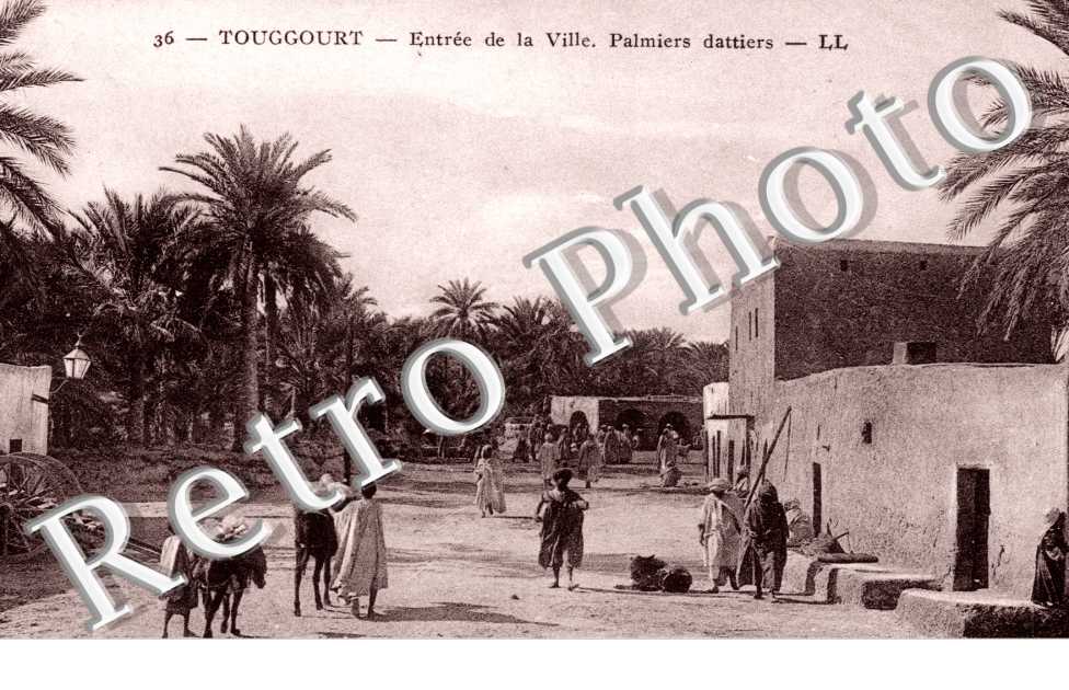 Entree de la Ville, Palmiers dattiers