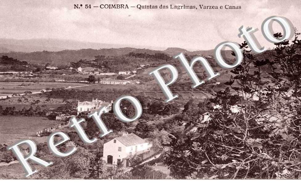 Quintas das Lagrimas, Varzea e Canas