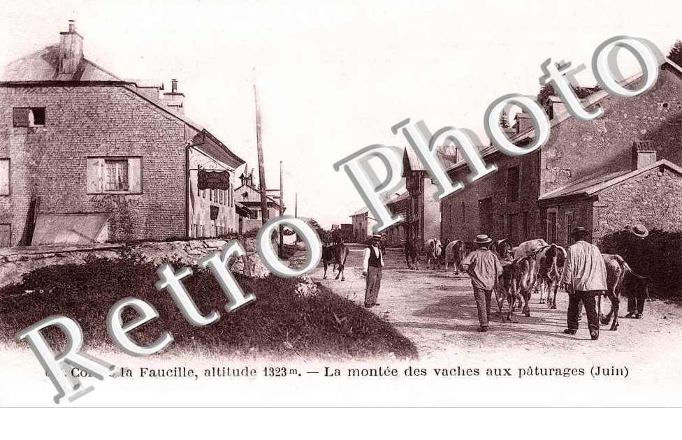Col de la Faucille - la montee des Vaches aux paturages
