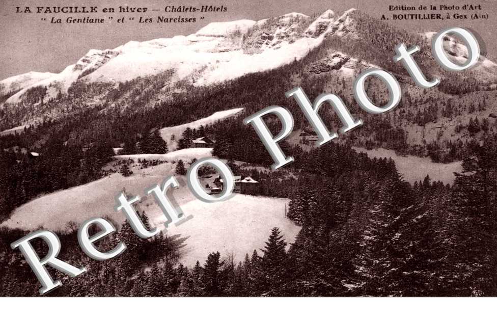 La faucille en Hiver